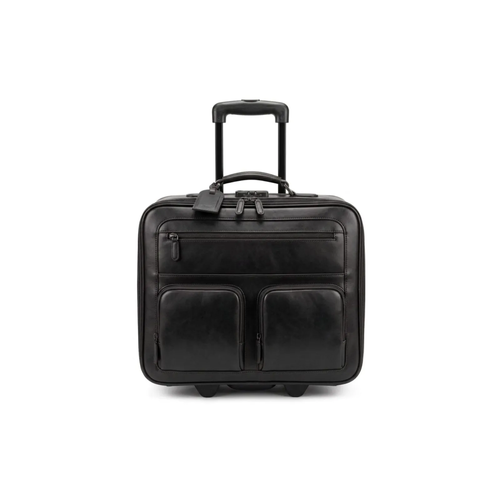 Pilot Cases